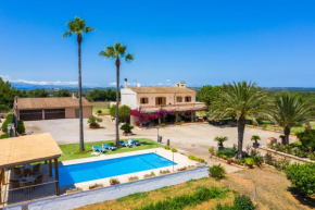 Villa Darder , Sa garriga
